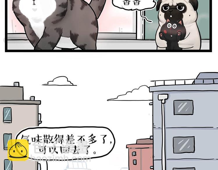 🍘吾皇巴扎黑 第284话 美喵竟是我自己 第9页