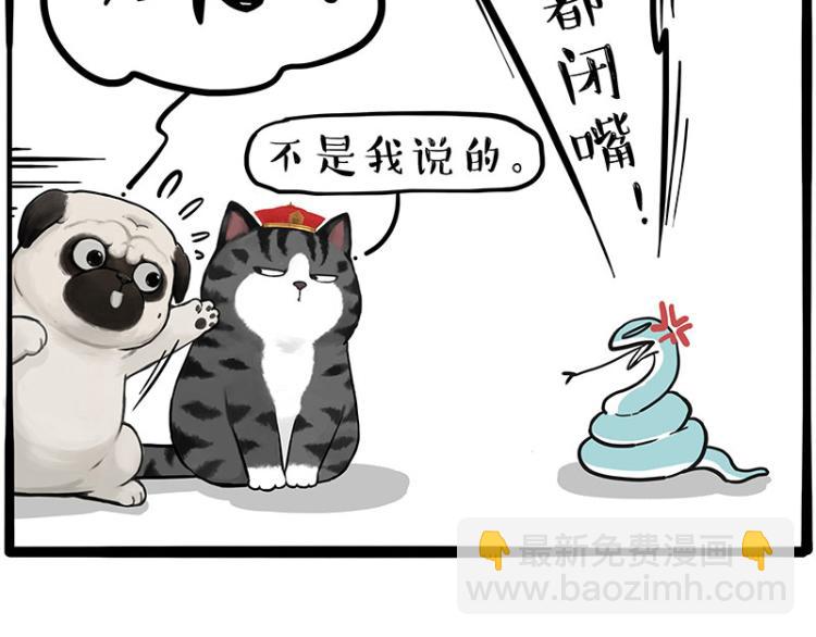 🍘吾皇巴扎黑 第286话 动物世界 第13页