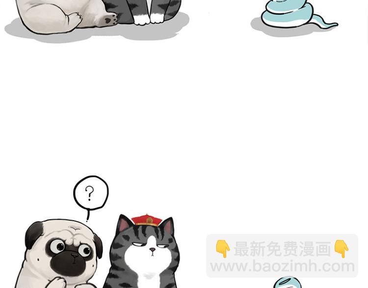 🍘吾皇巴扎黑 第286话 动物世界 第17页