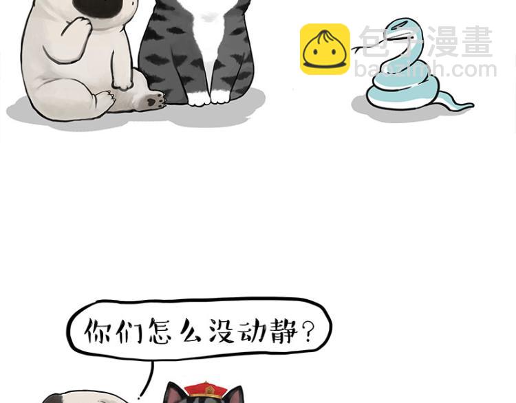 🍘吾皇巴扎黑 第286话 动物世界 第19页