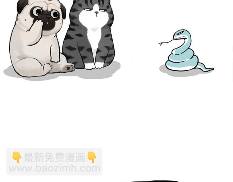 🍘吾皇巴扎黑 第286话 动物世界 第20页