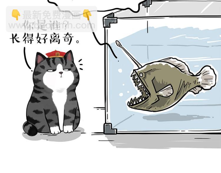 🍘吾皇巴扎黑 第286话 动物世界 第26页