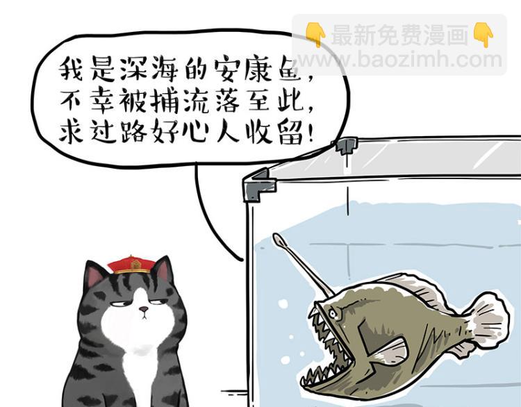 🍘吾皇巴扎黑 第286话 动物世界 第27页
