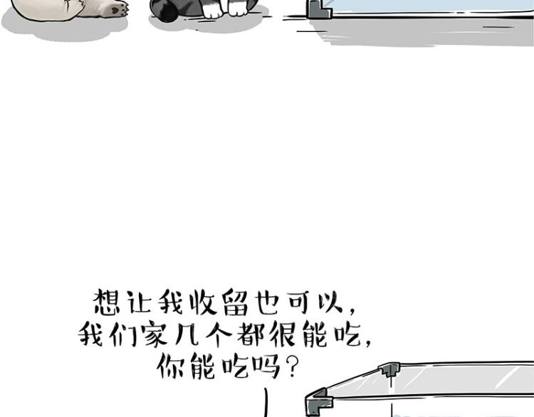 🍘吾皇巴扎黑 第286话 动物世界 第31页