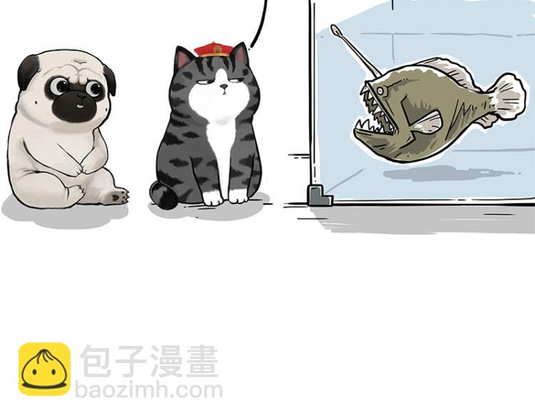 🍘吾皇巴扎黑 第286话 动物世界 第32页