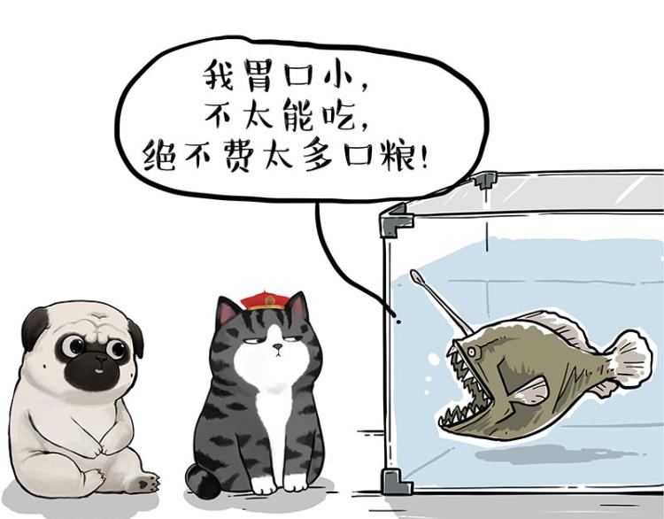 🍘吾皇巴扎黑 第286话 动物世界 第33页