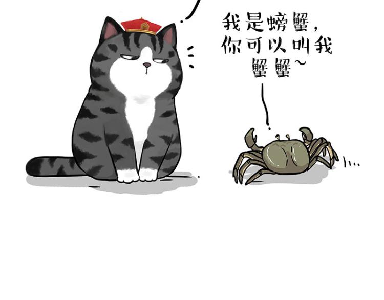 🍘吾皇巴扎黑 第286话 动物世界 第41页