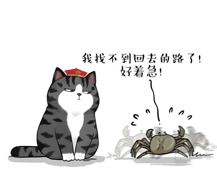 🍘吾皇巴扎黑 第286话 动物世界 第42页