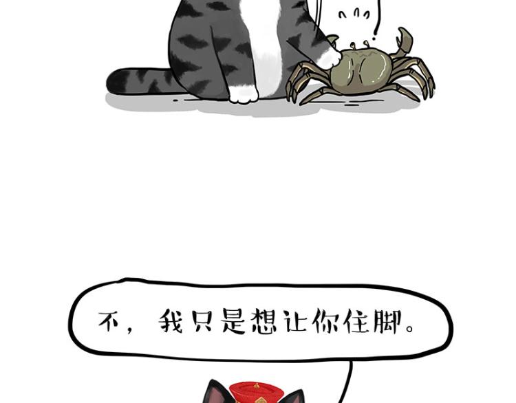 🍘吾皇巴扎黑 第286话 动物世界 第44页