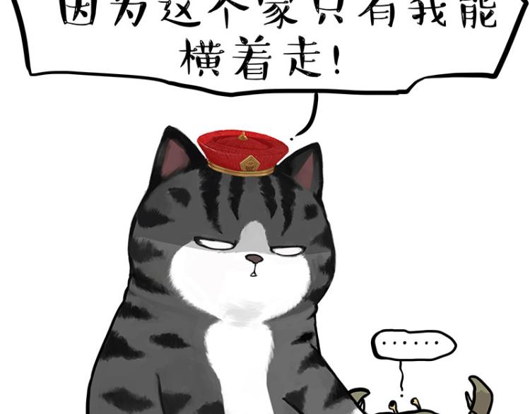 🍘吾皇巴扎黑 第286话 动物世界 第46页