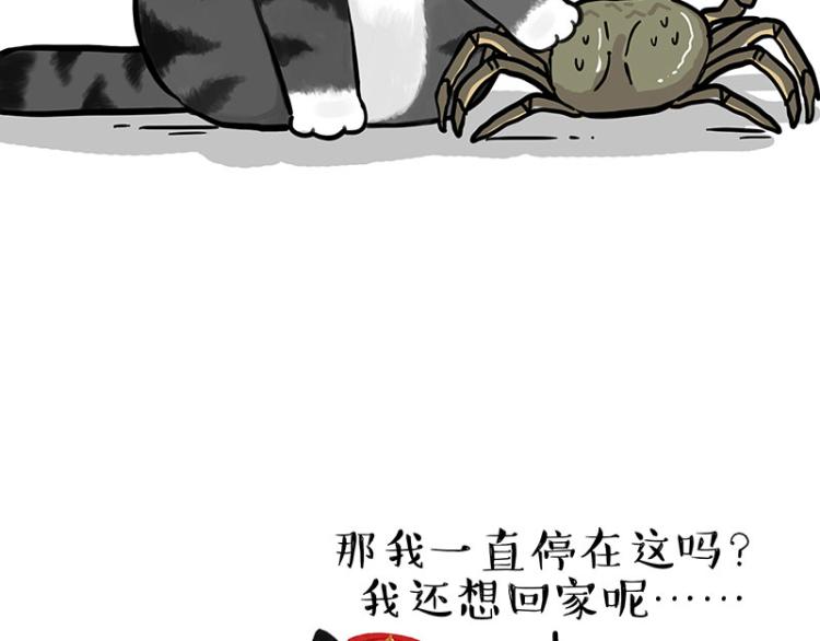 🍘吾皇巴扎黑 第286话 动物世界 第47页