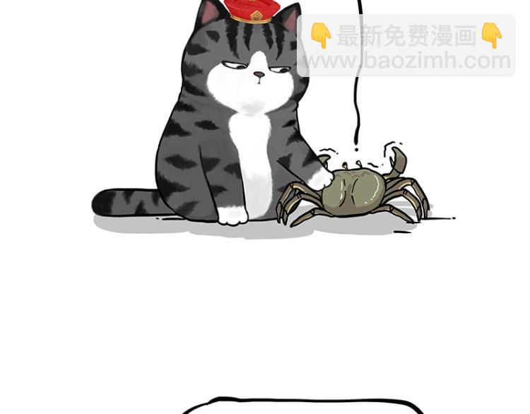 🍘吾皇巴扎黑 第286话 动物世界 第48页