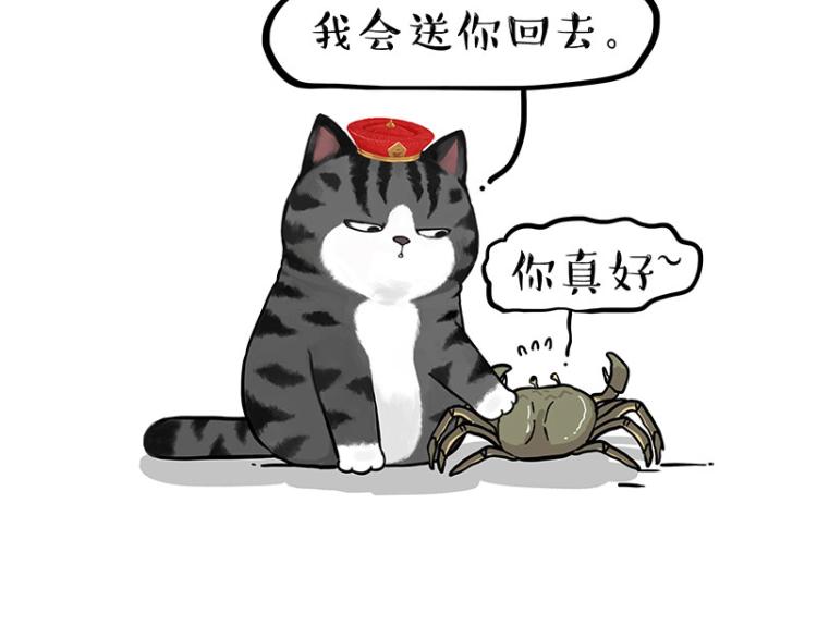 🍘吾皇巴扎黑 第286话 动物世界 第49页