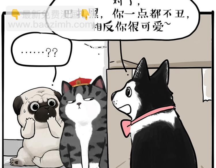 🍘吾皇巴扎黑 第288话 冒牌货，拿来吧你！ 第11页