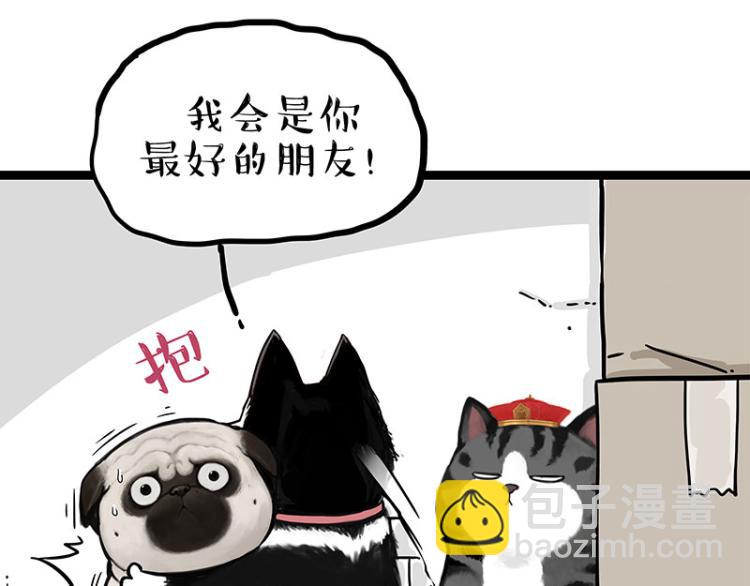 🍘吾皇巴扎黑 第288话 冒牌货，拿来吧你！ 第13页
