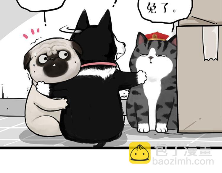 🍘吾皇巴扎黑 第288话 冒牌货，拿来吧你！ 第15页