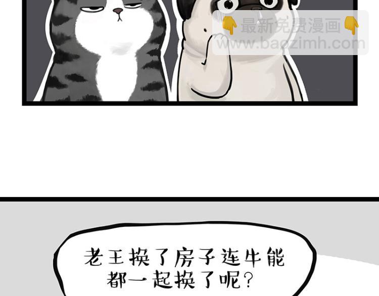 🍘吾皇巴扎黑 第288话 冒牌货，拿来吧你！ 第18页