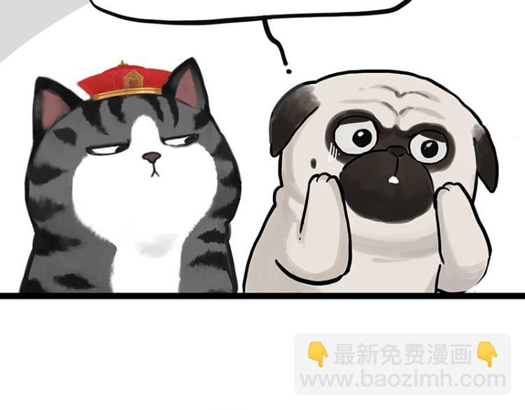 🍘吾皇巴扎黑 第288话 冒牌货，拿来吧你！ 第19页