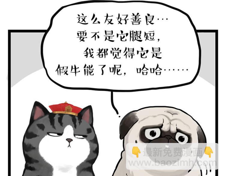 🍘吾皇巴扎黑 第288话 冒牌货，拿来吧你！ 第20页