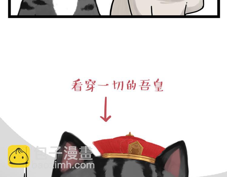 🍘吾皇巴扎黑 第288话 冒牌货，拿来吧你！ 第21页