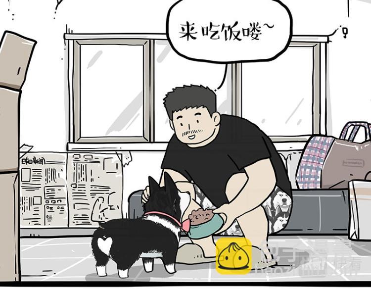 🍘吾皇巴扎黑 第288话 冒牌货，拿来吧你！ 第3页