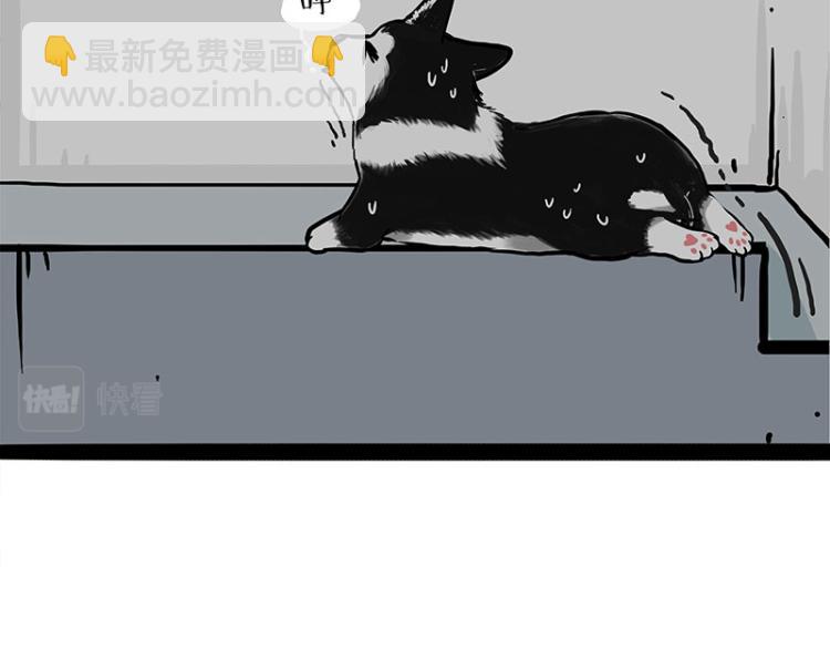 🍘吾皇巴扎黑 第288话 冒牌货，拿来吧你！ 第32页