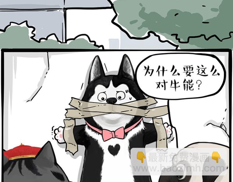 🍘吾皇巴扎黑 第288话 冒牌货，拿来吧你！ 第38页