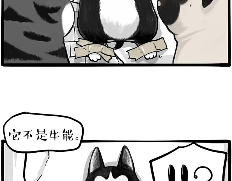 🍘吾皇巴扎黑 第288话 冒牌货，拿来吧你！ 第39页