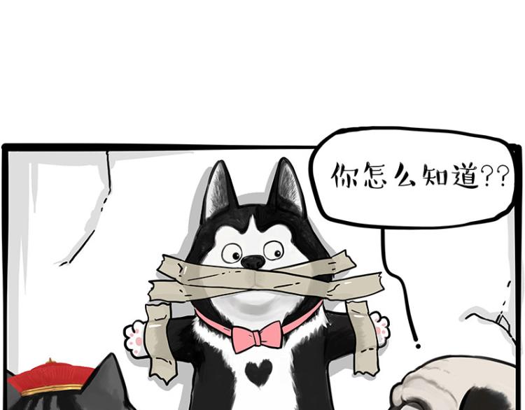🍘吾皇巴扎黑 第288话 冒牌货，拿来吧你！ 第41页
