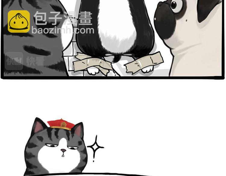 🍘吾皇巴扎黑 第288话 冒牌货，拿来吧你！ 第42页