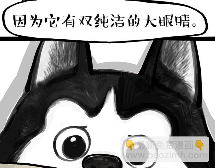 🍘吾皇巴扎黑 第288话 冒牌货，拿来吧你！ 第43页