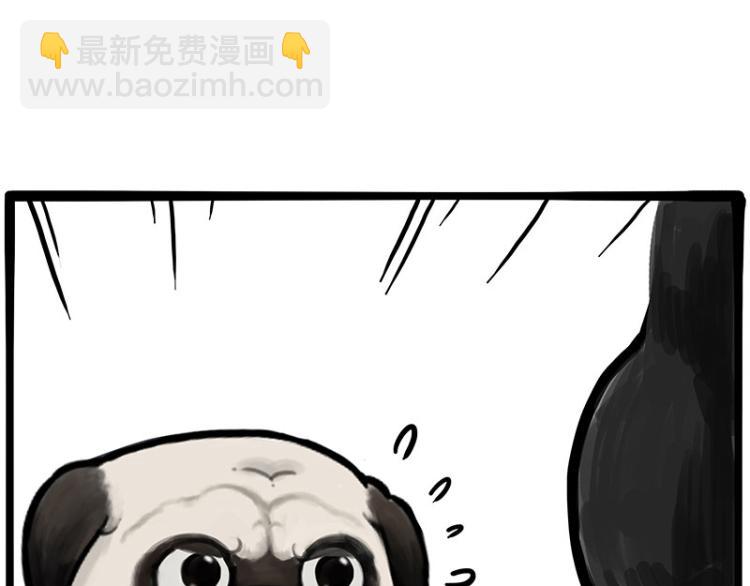 🍘吾皇巴扎黑 第288话 冒牌货，拿来吧你！ 第47页
