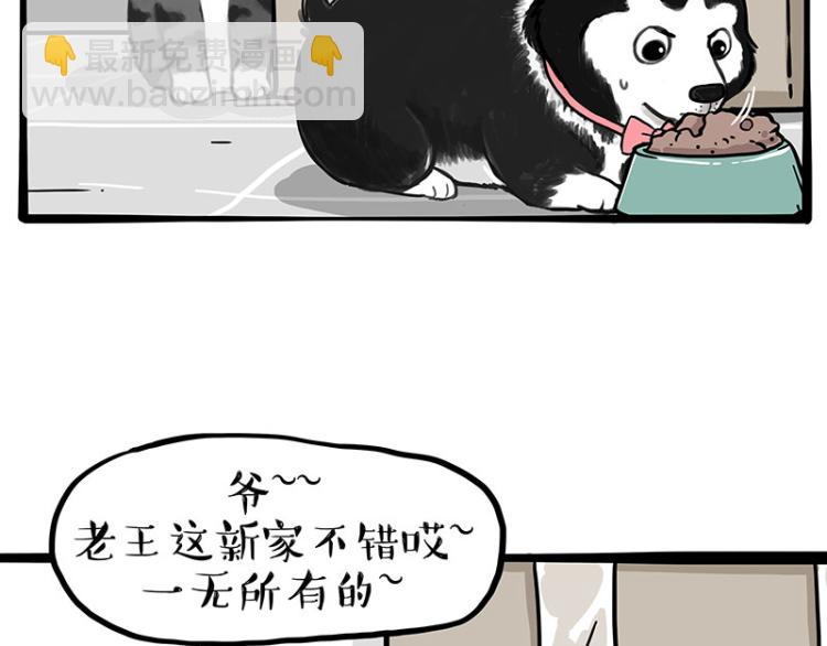 🍘吾皇巴扎黑 第288话 冒牌货，拿来吧你！ 第5页