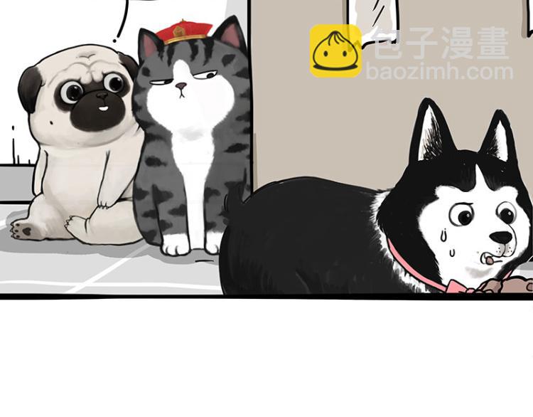 🍘吾皇巴扎黑 第288话 冒牌货，拿来吧你！ 第6页