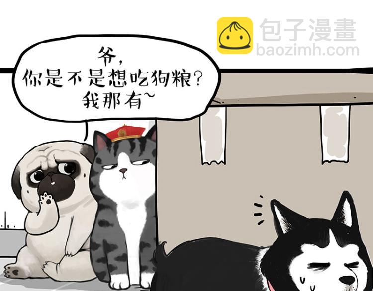 🍘吾皇巴扎黑 第288话 冒牌货，拿来吧你！ 第8页