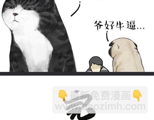 🍘吾皇巴扎黑 第30话 能运功的喵星人 第7页