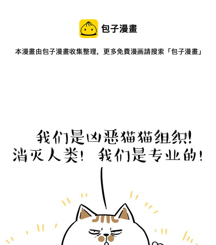 🍘吾皇巴扎黑 第290话 凶恶猫猫组织 第1页