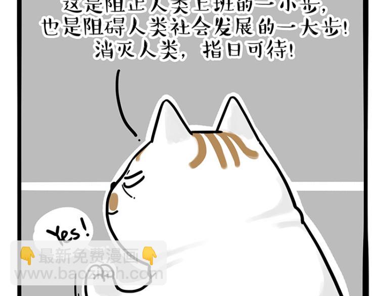🍘吾皇巴扎黑 第290话 凶恶猫猫组织 第10页