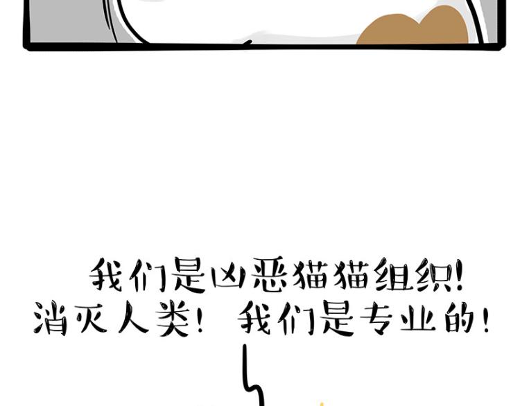 🍘吾皇巴扎黑 第290话 凶恶猫猫组织 第11页