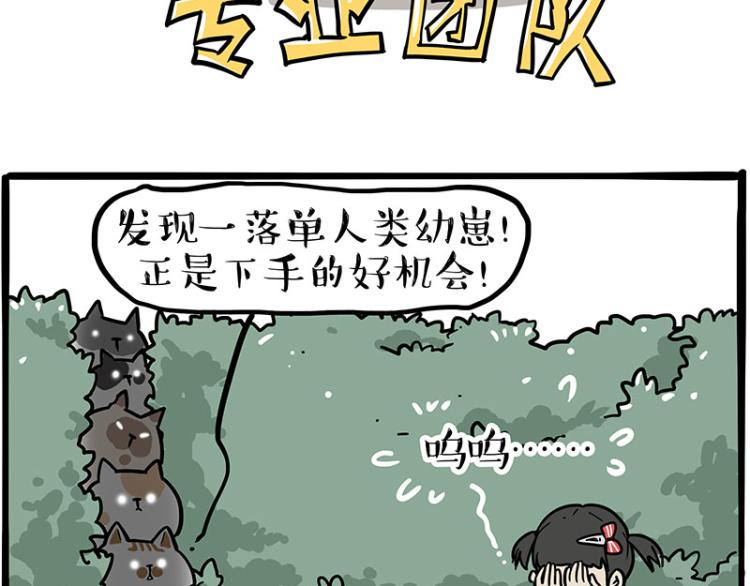 🍘吾皇巴扎黑 第290话 凶恶猫猫组织 第13页