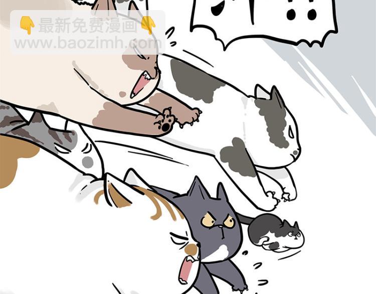 🍘吾皇巴扎黑 第290话 凶恶猫猫组织 第15页