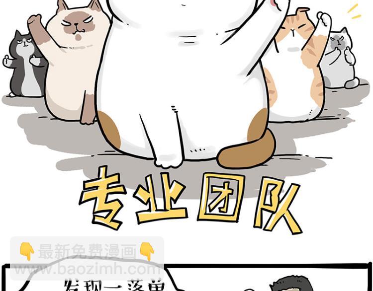🍘吾皇巴扎黑 第290话 凶恶猫猫组织 第2页