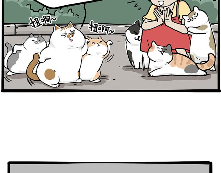 🍘吾皇巴扎黑 第290话 凶恶猫猫组织 第21页