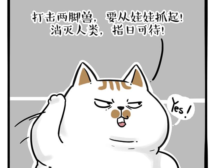🍘吾皇巴扎黑 第290话 凶恶猫猫组织 第22页