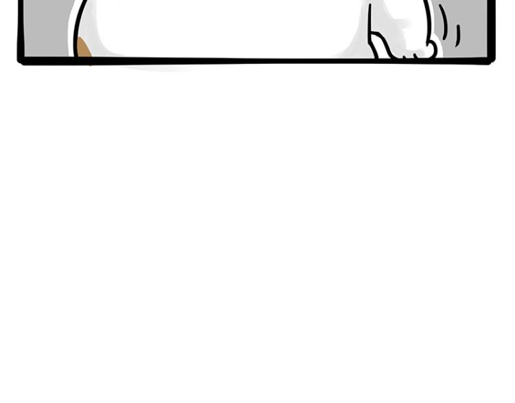 🍘吾皇巴扎黑 第290话 凶恶猫猫组织 第23页