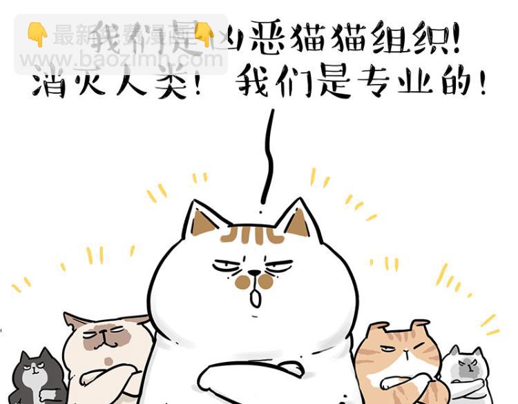 🍘吾皇巴扎黑 第290话 凶恶猫猫组织 第24页