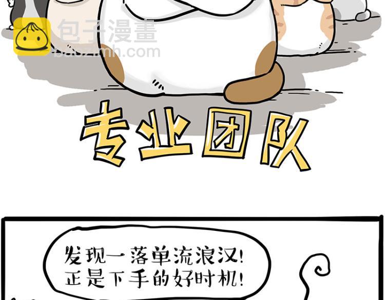 🍘吾皇巴扎黑 第290话 凶恶猫猫组织 第25页