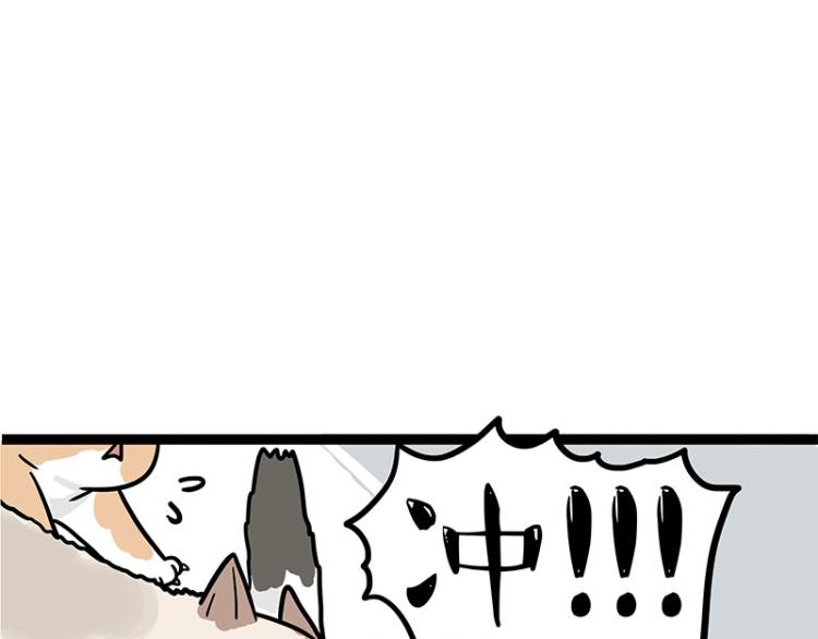 🍘吾皇巴扎黑 第290话 凶恶猫猫组织 第27页