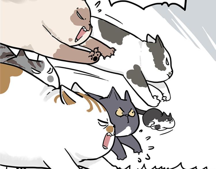 🍘吾皇巴扎黑 第290话 凶恶猫猫组织 第28页