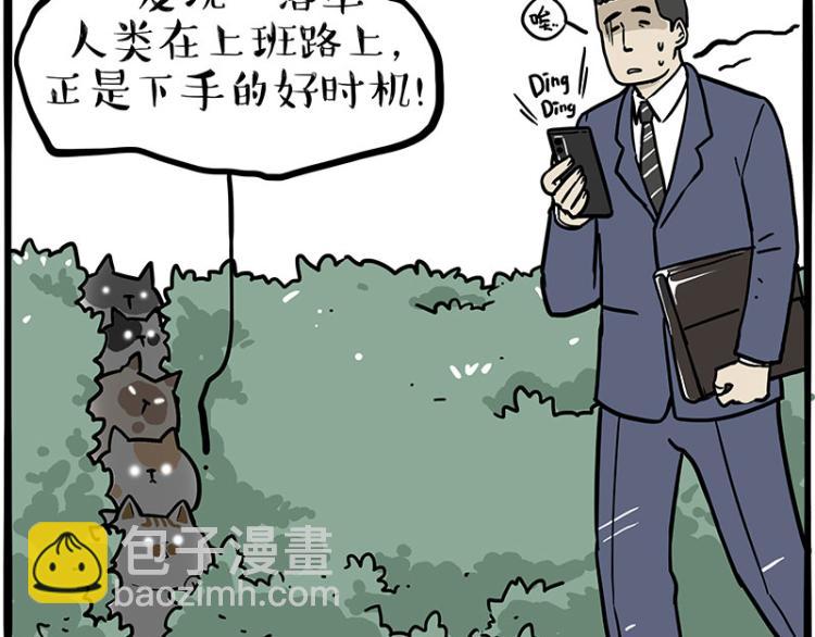 🍘吾皇巴扎黑 第290话 凶恶猫猫组织 第3页